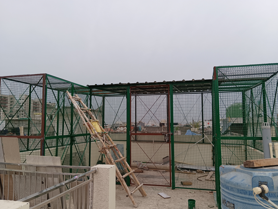 Jaal Covering design 008